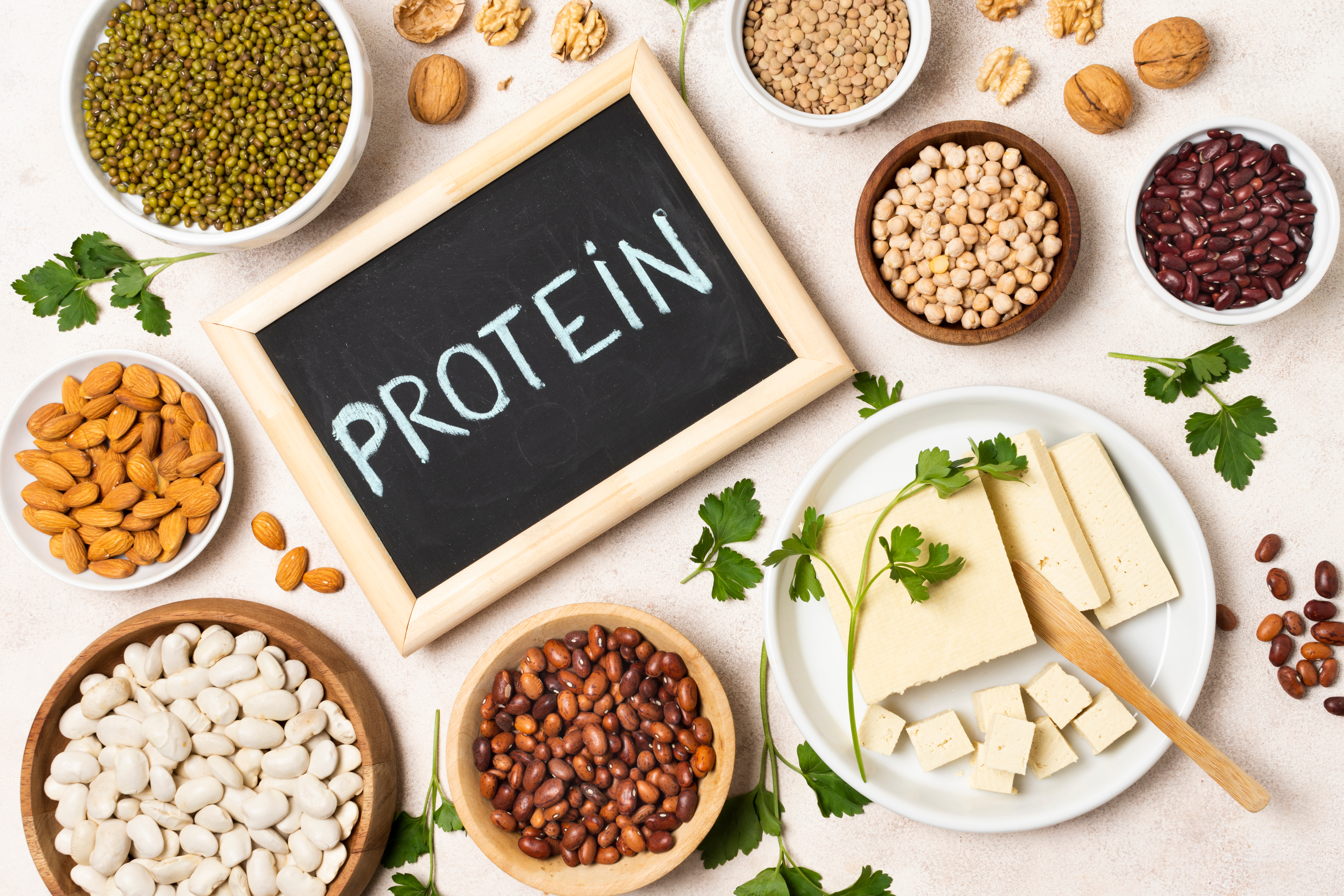 Why is protein so important